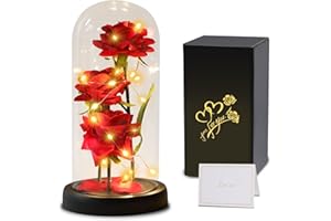 TOULOUBE Rosa Eterna Regalos para Mujeres,La Bella y la Bestia Rosa,Kit de Rosas,Elegante Cúpula de Cristal con Luces LED y 1 Tarjeta de Felicitación,Regalo de Flores Artificiales para Mujeres, Mamá, Esposa