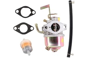 AISEN Vergaser mit Dichtung für MZ175 EF2700 EF2600 Generator Stromerzeuger Notstromerzeuger Notstrom