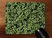 Produktbild Heckenschere Print Desktop Office Silikon Maus Pad