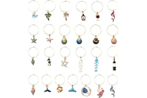 ZBHDEYG 25 breloques de marquage, support de verre à vin suspendu, accessoires pour le marquage des boissons, marqueurs de verre, kit de marquage de verre à vin, breloques de marquage de verre pour