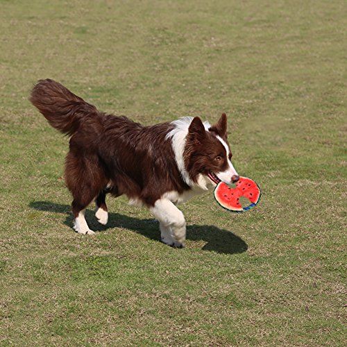 Dog-Plush-Sound-Toy-Puppy-Frisbee-Toy-Cotton-Rope-Watermelon-Throwing-Pet-Dog-Bite-Toys-Teether-by-Awhao