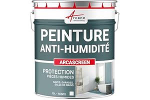 Peinture anti humidité pour mur humide en plâtre, béton, placo, cave et sous-sol, salle de bain, sdb, anti moisissure, salpêtre, isolante : Arcascreen - 10 L (jusqu'à 40 m²) - ARCANE INDUSTRIES