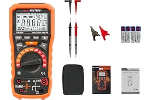 AYITAM Digital Megohmmeter Insulation Resistance Tester 1000V AC/DC for Electrical Equipment and Insulating Resistance Up to 100GΩ with PI/DAR, Frequency and Low Voltage Test