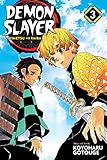 Demon Slayer: Kimetsu no Yaiba, Vol. 3 by 