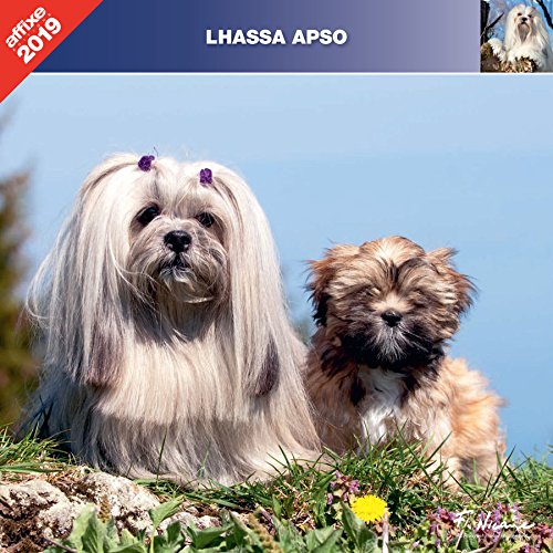 Download LHASSA APSO 2019 - CALENDRIER AFFIXE Download LHASSA APSO 2019 - CALENDRIER AFFIXE