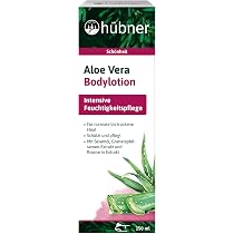 grüner bogenhanf Dracaena zeylanica main image 1