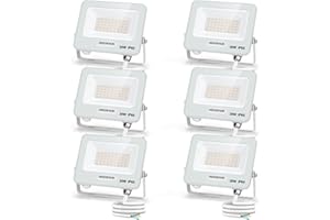 Aigostar Faretto LED da Esterno 30W, 2450LM, Faretti LED Esterno Naturale 4000K, Luce di Sicurezza Impermeabile IP65, Per Giardino, Cortile, Garage, Corridoio, Confezione da 6
