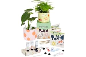 POTT'D Pott’d Paintables Paint-a-Plant Pot Kit, DIY Pottery Painting Kit for Adults with Plant Pots, Acrylic Paints, Brushes, Pencil and Guide, Craft Kit for Adults, Home Décor
