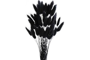 ROOBZE Pampas decorative Rabbittail fiori secchi decorativi 50 pezzi Count Natural fiori secchi decorativi Bouquet, Decorazione camera da letto fiori secchi Indoor Wedding Home Decor (nero)