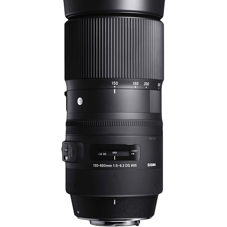 EasyCover Lens Oak - Housse De Protection Camouflage Pour Objectif Sigma 150-600mm