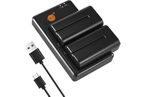 DSTE 2PCS NP-F330 NP-F550 NP-F570(2900mAh/7.4V) Batterie Ladegerät Compatible für Sony NP-F970,F750,F770,F960,F530,CCD-SC55,TR910,TR917,Handycams,Neewer,Nanguang CN-160,CN-216,CN-126 Kamera LED Light