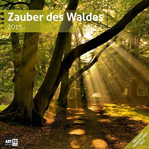 Zauber des Waldes 30 x 30 cm 2015