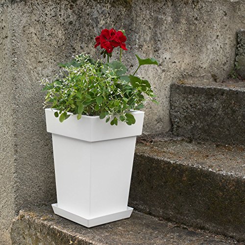 3er Set Blumentopf Blumenkübel inkl. Untersetzer 200 + 240 + 300 lime viereckig Kunststoff Pflanztopf Lofly - 6