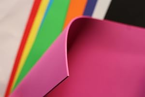 Tigofly 10 x 10 cm 10 Stück 10 Farben sortiert Fliegenbinden Schaumstoffpapier Bogen dünn EVA-Schaum Ameisen Käfer Fliegenbinden Materialien