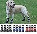 Produktbild Wasserdichte Hundeschuhe, rutschfest, mit Sohle für warme Pfoten für mittelgroße und große Hunde im Winter, 4 Stück