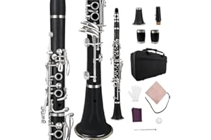 WUQIMUSC Clarinete profesional de madera de ébonita, llaves chapadas en níquel con barriles accesorios de caña, sonido agradable, estuche duradero (clarinete de pastel)
