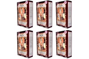 HENNE COLOR PARIS 6 X 100g Henna Color Naturhaarfärbemittel Pulver Farbe Öko Braun