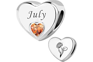 ZakiaHo Birthstone Charms for Bracelets Heart Birth Month Flower Birthday Gifts for Women Compatible with Pandora Charms Bracelets