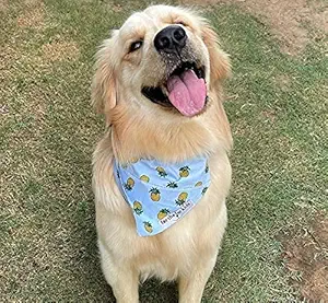 For The Fur Kids Dog Bandana: Summer Holiday Slip On Bandana for Dogs, Dog Fashion Accessory