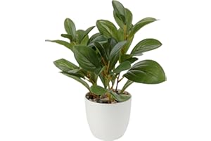 ‎OAIRSE 28cm Kunstpflanzen im Topf für Heimdekoration Künstliche Zimmerpflanze Camellia, Blumenarrangements Heim- und Büro Dekoration Desktop Bonsai, Kunstpflanzen mit Töpfen Tischdeko Haus Balkon Büro Deko