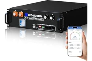 ECO-WORTHY LiFePO4 48 V 100 Ah V3 Bluetooth con BMS de 100 A, bateria Litio de 5,12 kWh y 48 V, Armario para Servidor, bateria Solar para Sistema Solar Completo, Sistema fotovoltaico
