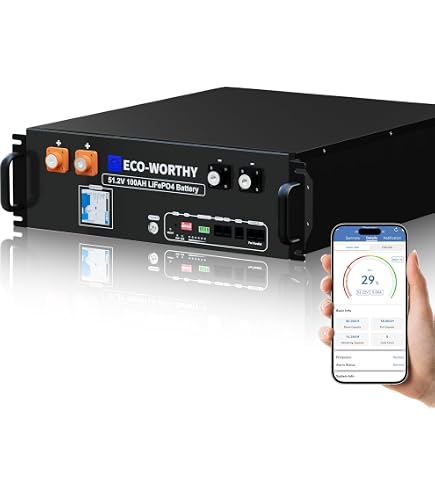 ECO-WORTHY 5120Wh Speicher Für Balkonkraftwerk,3U Gehäuse Server