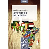 Géopolitique de l'Afrique