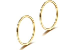 Lantine 16g 18g 20g Nose Rings Hoop G23 Titanium Hinged Segment Septum Rings Seamless Clicker Sleeper Daith Tragus Helix Cartilage Piercing Hoop Earrings