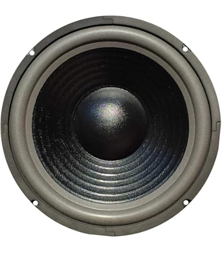 Woofer Goldwood GW-210/8 Da 10 Pollici - 220W, 8 Ohm Per Audio Professionale - Foto 6