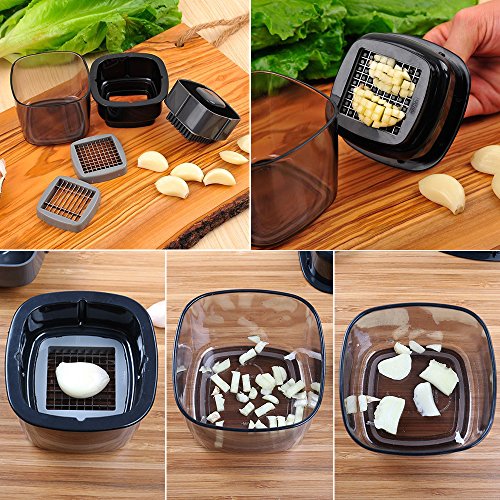 Knoblauchpressen Knoblauch Hobel, FineGood Zerkleinerer mit Edelstahl Klinge für Ingwer Knoblauch Scallion Zwiebel Chili Gewürz, Küche Gadgets Werkzeuge Zubehör - 3