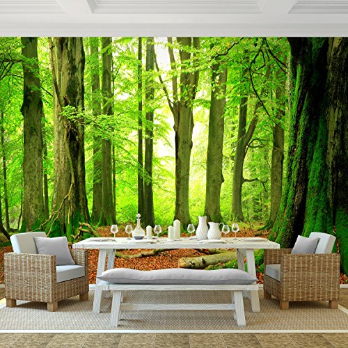 Fototapete Wald 352 x 250 cm – Vliestapete – Wandtapete – Vlies Phototapete – Wand – Wandbilder XXL – !!! 100% MADE IN GERMANY !!! Runa Tapete 9037011a - 2