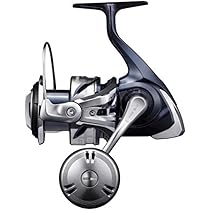 SHIMANO OCEA JIGGER F Custom 1501 HG: Buy Online at Best Price in