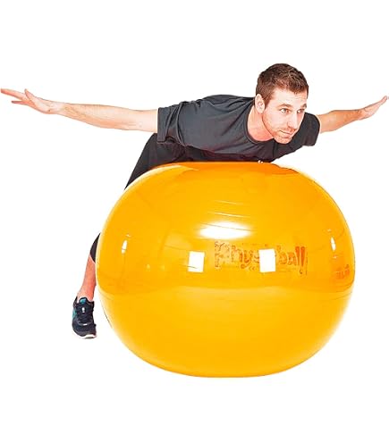 GYMNIC Physio Roll Ballon Double idéal pour la physiothérapie, Les Exercices d'équilibre, la Coordination et Le Soutien thérapeutique