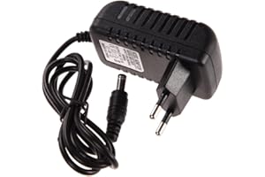 Junerain AC 100-240V Adaptateur convertisseur DC 5,5 mm x 2,5 mm 6V 1A 1000mA Chargeur EU Plug