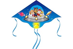 COQOYO Children's Kite, Cartoon Children's Kite with Handle, Lines and 4 Tails for Park, Beach and Outdoor Activities, Cute Anime Kite for Beginners from 3 Years