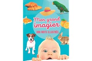 Mon grand Imagier - 300 mots illustrés: livre d'éveil bébé et enfant avec 22 thèmes : animaux, corps humain, émotions, aliments, famille, couleurs, contraires, etc...