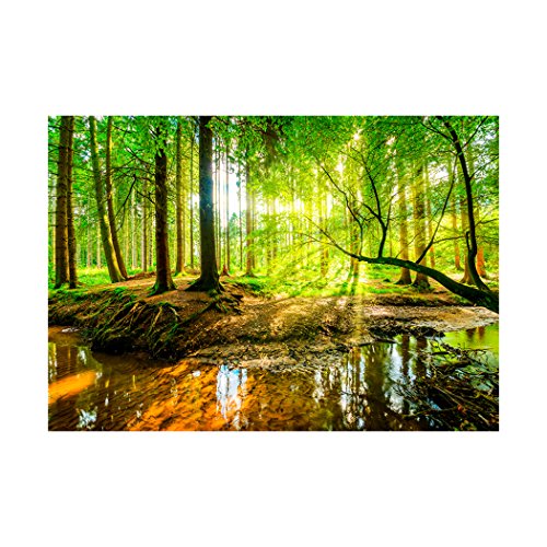 Fototapete Wald 3D 400×280 cm XXL | modern | Schlafzimmer | Tapete | Wandbilder | Phototapete | Premium Vliestapete | Wandtapete | FOB0236a84XL - 2