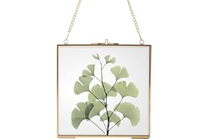 Homtone Wisząca mosiężna szklana rama, przezroczysta wisząca ramka na zdjęcia do suszonych kwiatów, ekspozycja dzieł sztuki, złota ramka 16 cm x 16 cm