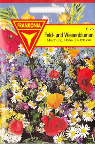 Feldblumen- und Wiesenblumenmischung, ca. 400 Samen