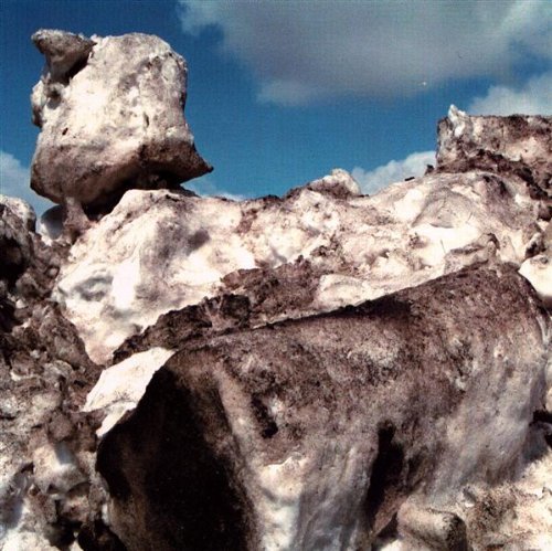 Price comparison product image Parking Lot Music by E Vax (2001-02-27)