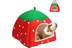 USYSGT Nido de Cama para Cobayas, Casa Cómoda para Hamster Tienda de Campaña para Animales Pequeños con Acolchado Extraíble para Cobayas Hámsters Hurones y Conejo Enano