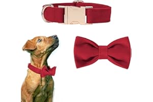 Lollanda Samt-Fliege Hundehalsband Abnehmbar Fliege und Halsband Set für Hunde Verstellbar Hochzeit Schleifenhalsband