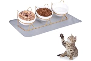 cluis Katzennapf 3er Set, Katzen Futternapf Erhöht Keramik Einzeln mit Unterlage Hunde Erhöhter Katzenschale Fressnapf Katze Porzellan Katzen Napfset Edelstahl(Gold)