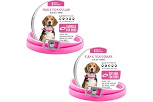 BKEPDY Collare Antiparassitario Cani Regolabile Protezione 8 Mesi Repellente Pulci Zecche Impermeabile Taglia Unica