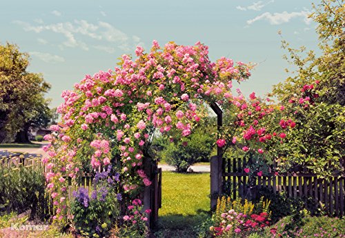 Komar Fototapete Rose Garden, 368 x 254 cm