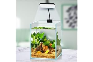 ‎BOXTECH Boxtech Aquarium Beleuchtung,Vollspektrum-Pflanzenlicht -LED-Licht, kleines Aquarium-Clip-On-Klemmleuchte, 8W weiße für 3 bis 6 Gallonen-Tanks