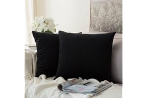 MIULEE Lot de 2 Housses de Coussins en Velours Décoratif Canapé Taie d'oreiller Super Lisse Doux Confortable Decoration Maison Salon Chambre pour Canapé 40X40CM Noir