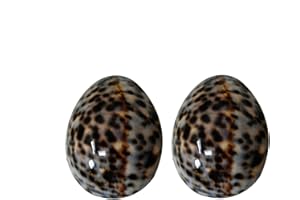 IRRÉVERSIBLE BIJOUX - Coquillages d'Allaitement en Nacre Naturelle - Taille M (Ø 6 cm) - Soulage Crevasse & Douleur, Protège-Mamelons avec Pochette Coton de Rangement Offerte - Zéro-Déchet - Beige