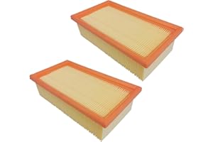NIUZEMYKO 2 filtros planos plisados, elemento de filtro principal compatible con Festo/Festool 452065 452923 CT11, CT22E, CT 33E, CT 33LE, CTL 44E, CTM22, CTM 33LE, CT Mini, Kärcher 6.904-068 A2001 2000TE