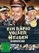 Ein Käfig voller Helden - Die komplette Serie [26 DVDs]